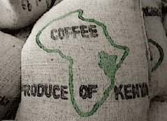 Kenya AA Whole Bean Coffee